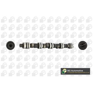 BGA Camshaft CS6303