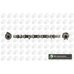 BGA Camshaft CS6319