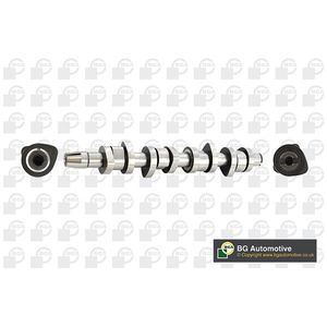 BGA Camshaft CS9503