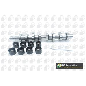 BGA Camshaft CS9503K