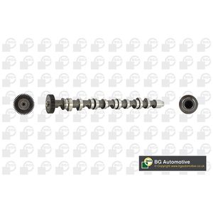 BGA Camshaft Exhaust Side CS9612