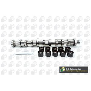 BGA Camshaft CS9650K