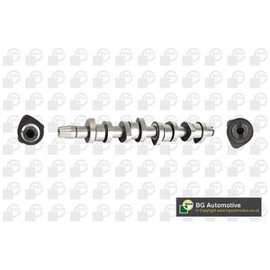 BGA Camshaft CS9901