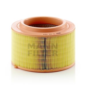 Mann Air Filter C22024