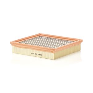 Mann Air Filter C22029