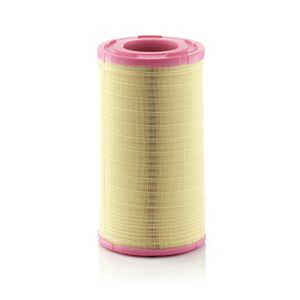 Mann Air Filter C261005
