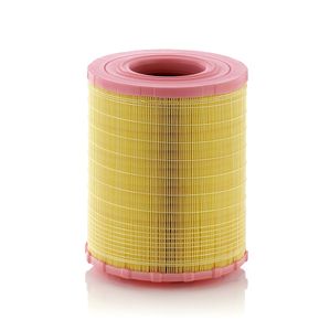 Mann Air Filter C29010