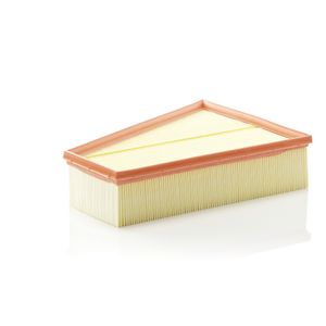 Mann Air Filter C30161