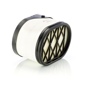 Mann Air Filter C38010