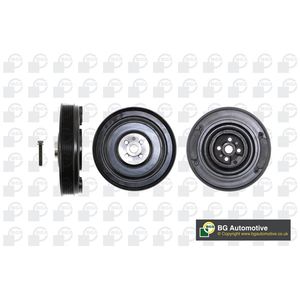 BGA Crankshaft Pulley (TVD) DP2976K