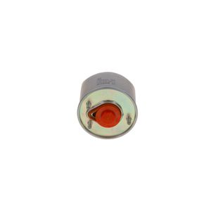 Bosch Fuel Filter F026402864