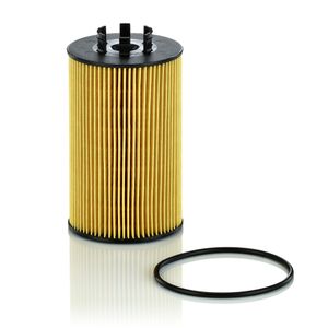 Mann Oil Filter HU9007z