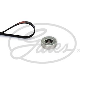 Gates Drive Belt Kit K015PK1138