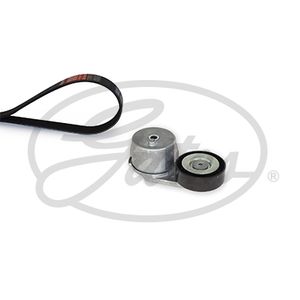 Gates Drive Belt Kit K015PK1665XS