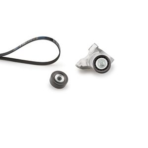 Gates Drive Belt Kit K016PK1893