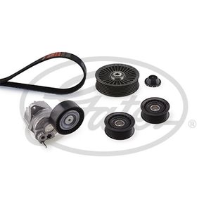 Gates Drive Belt Kit K166PK2260