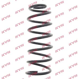 KYB Coil Spring Front RG1169