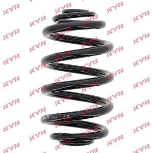 KYB Coil Spring Rear RJ6641