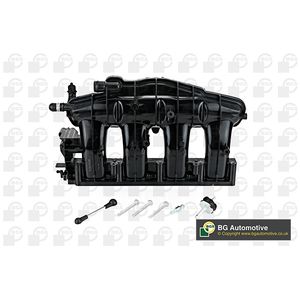 BGA Intake Manifold Module MG01022