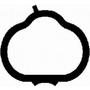 BGA Inlet Manifold Gasket MG0549