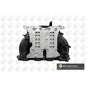 BGA Intake Manifold Module MG09028