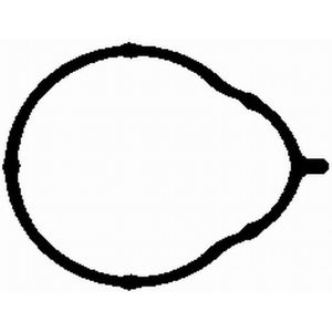 BGA Inlet Manifold Gasket MG2581