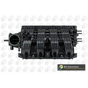 BGA Intake Manifold Module MG96015