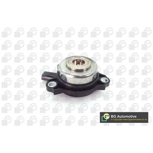 BGA Camshaft Adjuster Valve OCV5602