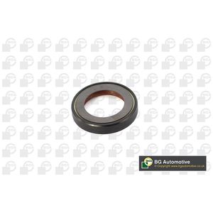 BGA Shaft Seal Outlet OS1400