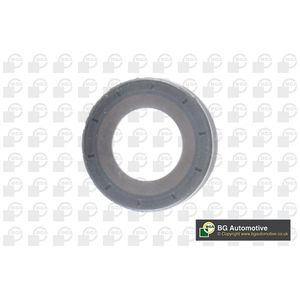 BGA Shaft Seal Front Right OS1402