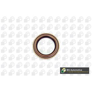 BGA Shaft Seal Rear OS2319
