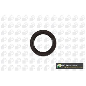 BGA Camshaft Oil Seal Front OS6389