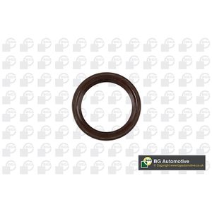 BGA Crankshaft Oil Seal Front OS7309