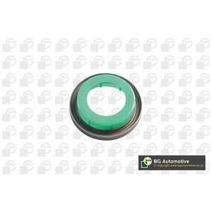 BGA Crankshaft Oil Seal Front OS9309
