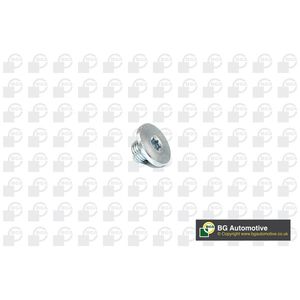BGA Sump Plug PK2200