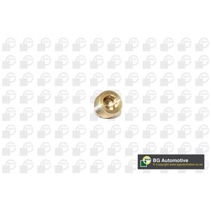 BGA Sump Plug PK2202
