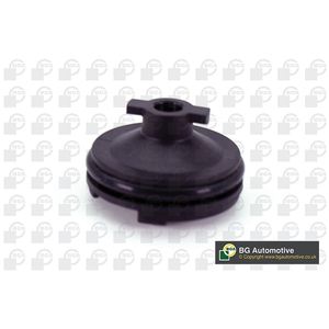 BGA Sump Plug PK2307