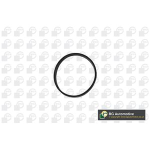 BGA Inlet Manifold Gasket RW3399
