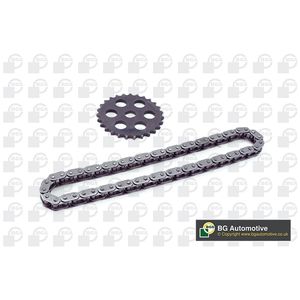 BGA Oil Pump Chain Kit TC0925FK