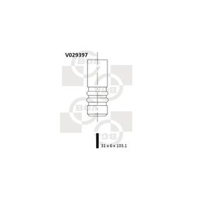 BGA Inlet Valve V029397