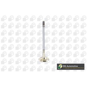 BGA Exhaust Valve V090101