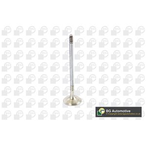 BGA Exhaust Valve V090106