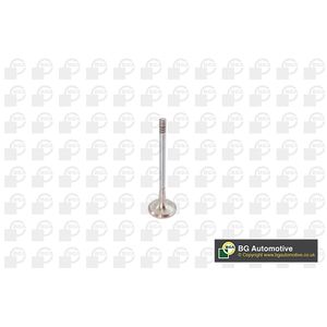 BGA Exhaust Valve V142050