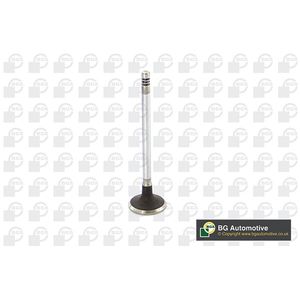 BGA Inlet Valve V149486