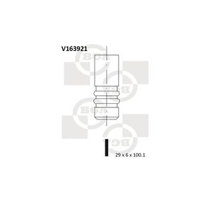 BGA Exhaust Valve V163921