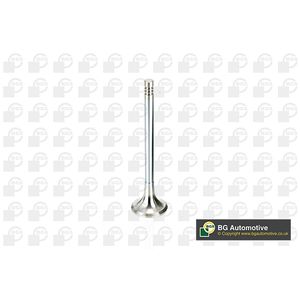BGA Exhaust Valve V165961