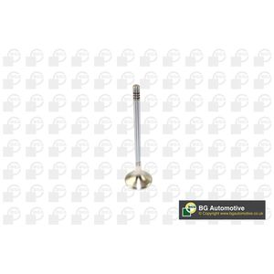 BGA Exhaust Valve V166211
