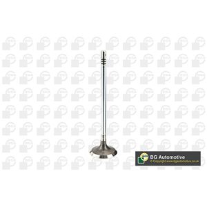 BGA Inlet Valve V200001