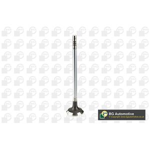 BGA Exhaust Valve V200264