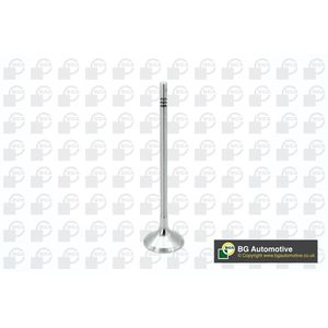 BGA Inlet Valve V200610